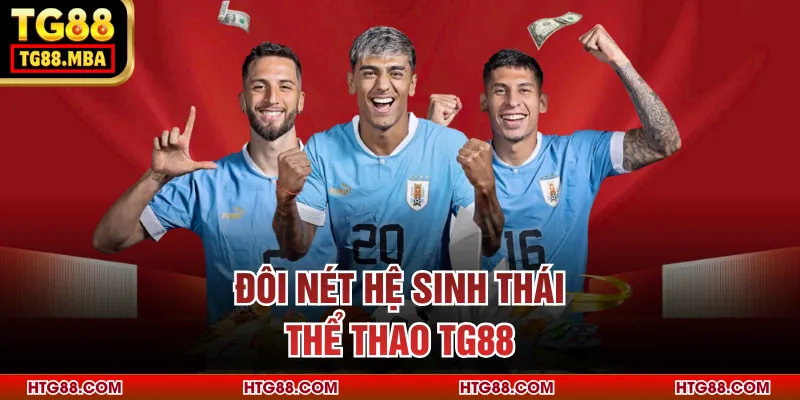 Đôi nét hệ sinh thái thể thao TG88
